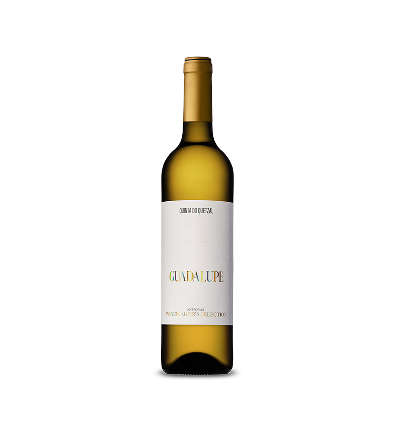 image-12204293-Guadalupe-Winemakers-Selection-Branco-45c48.jpg